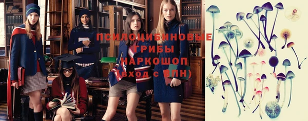 Альфа ПВП Баксан