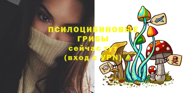 spice Арсеньев