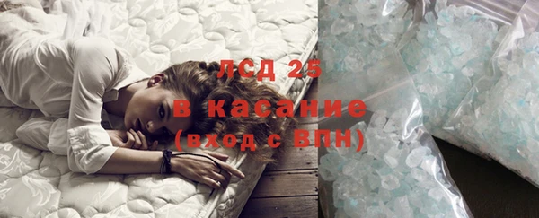 ГАЛЛЮЦИНОГЕННЫЕ ГРИБЫ Балахна